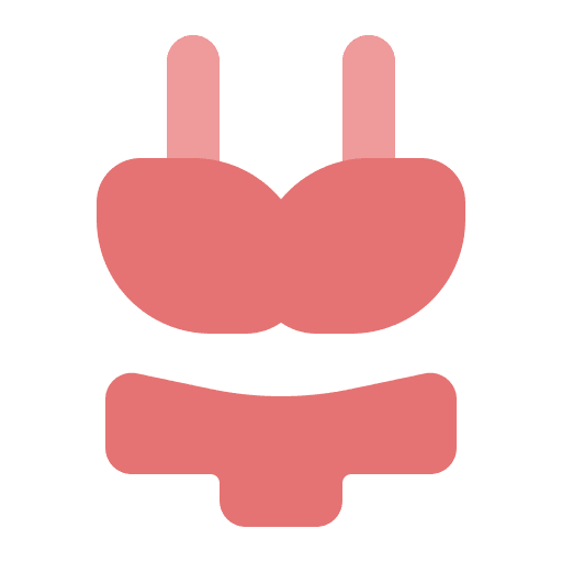 Bikini swimsuit femenine summer icon Bikini swimsuit femenine summer icon