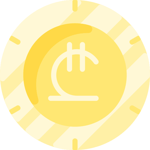 Lari finance business and finance currency icon