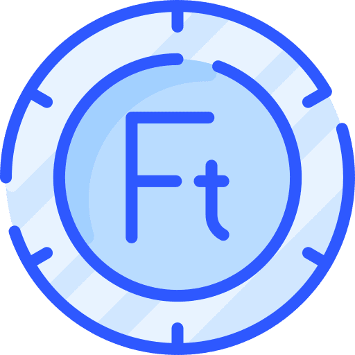 Forint cash currency money icon