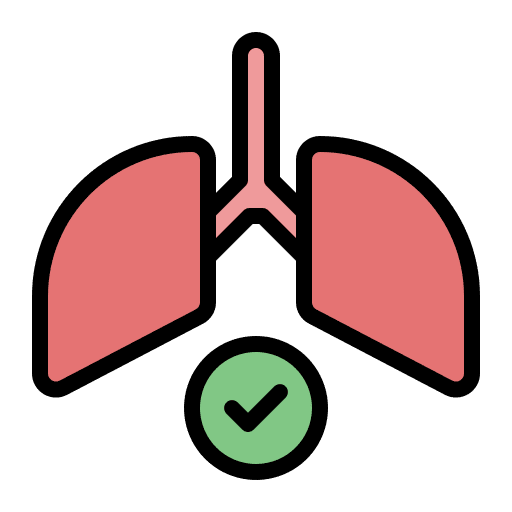 Lungs human body breath healthcare and medical icon Lungs human body breath healthcare and medical icon