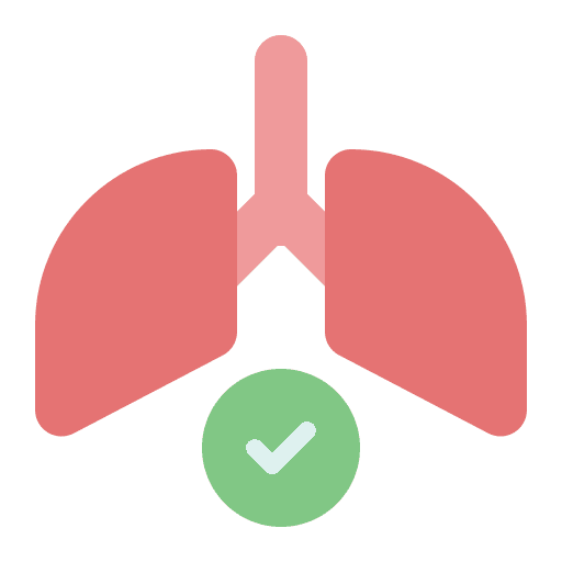 Lungs healthcare and medical anatomy organ icon Lungs healthcare and medical anatomy organ icon