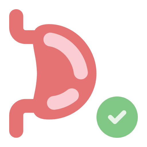 Stomach organ stomach anatomy icon