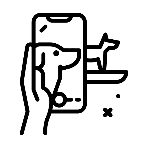 Photo shoot photo shoot filming camera icon