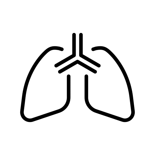 Lung medical lung healthcare and medical icon