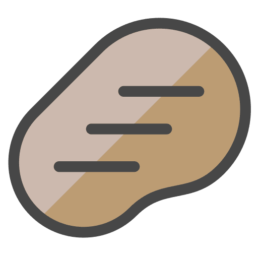 Meat beef roasted meat icon
