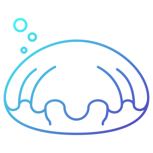 Clam sea life animals clam icon Clam sea life animals clam icon