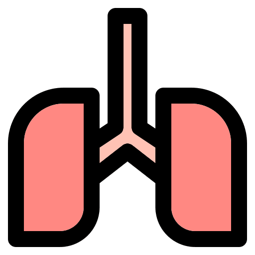 Lungs organ body parts lungs icon