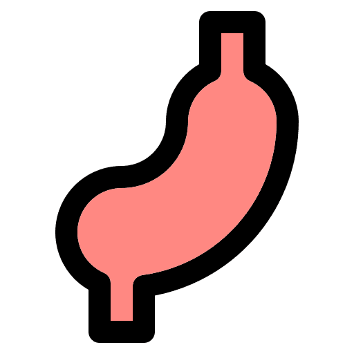 Stomach hospital organ medication icon Stomach hospital organ medication icon