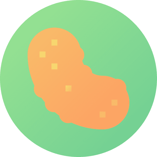 Sea cucumber sea cucumber echinoderm marine icon Sea cucumber sea cucumber echinoderm marine icon