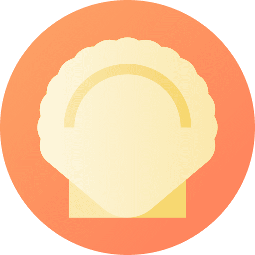 Seashell seashell shell sea life icon Seashell seashell shell sea life icon