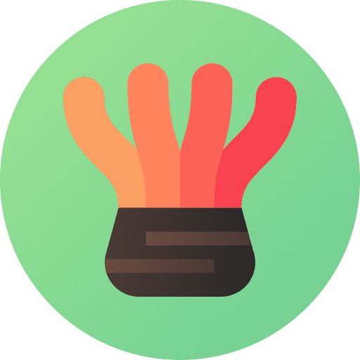 Anemone animal kingdom marine sea life icon Anemone animal kingdom marine sea life icon