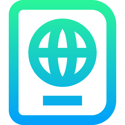 Passport pass identification identity icon