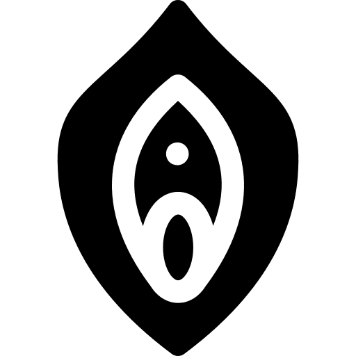 Vagina gynecology medical anatomy icon
