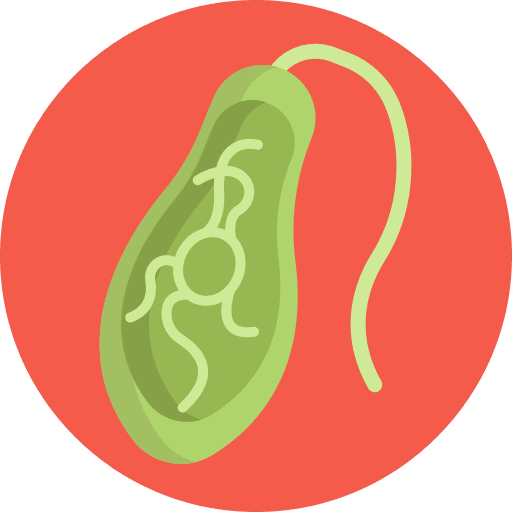 Virus bacteria healthcare and medical infection icon