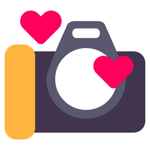 Wedding photo picture wedding photo wedding photography icon