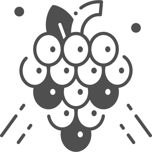 Grapes vegetarian bouquet vegan icon Grapes vegetarian bouquet vegan icon