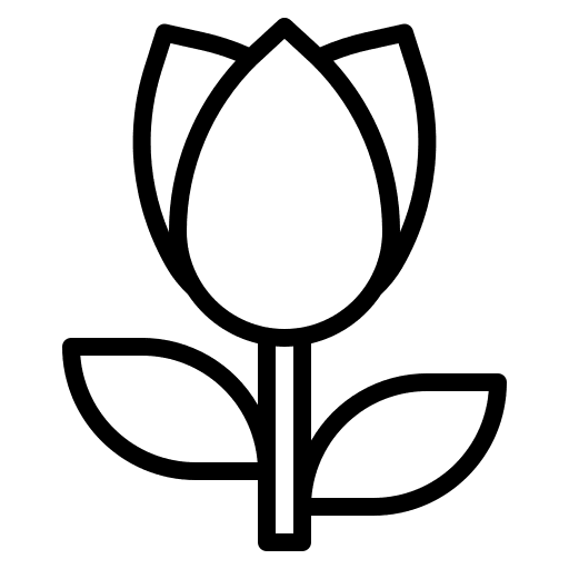Macro option ui photo icon Macro option ui photo icon