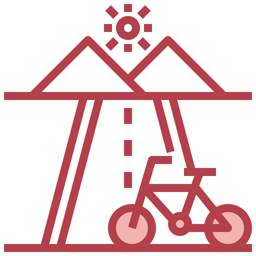 Roach transportation bicycle sports and competition icon