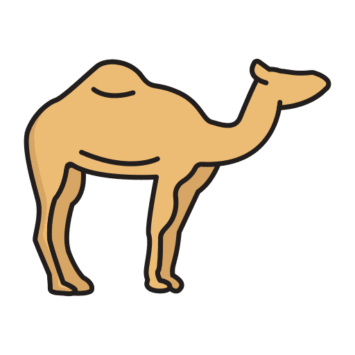 Camel camel saudi arabia transport icon