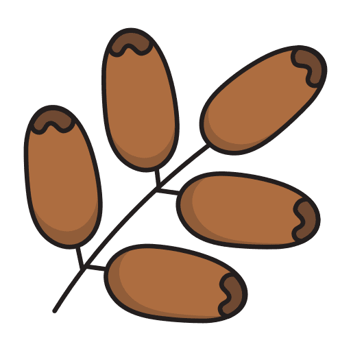 Dates healthy food diet food icon Dates healthy food diet food icon