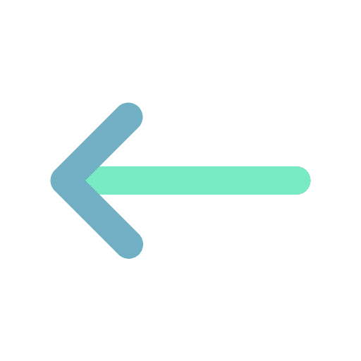Previous arrow camera back arrows icon