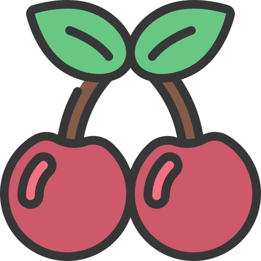 Cherries vegetarian cherries cherry icon
