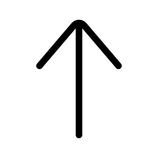Arrow up arrow up arrow skip icon