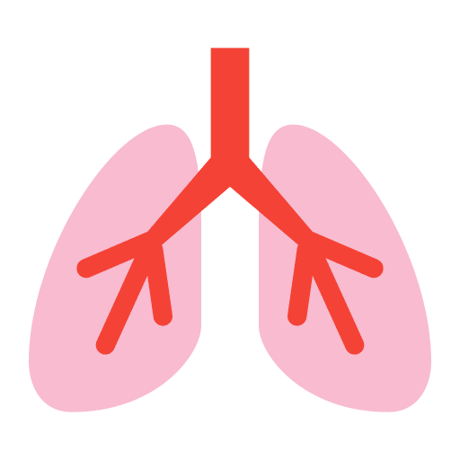 Lung human body respiratory system body organ icon