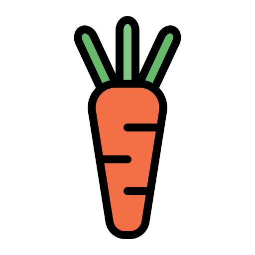 Carrot vegetable vegetarian vegan icon