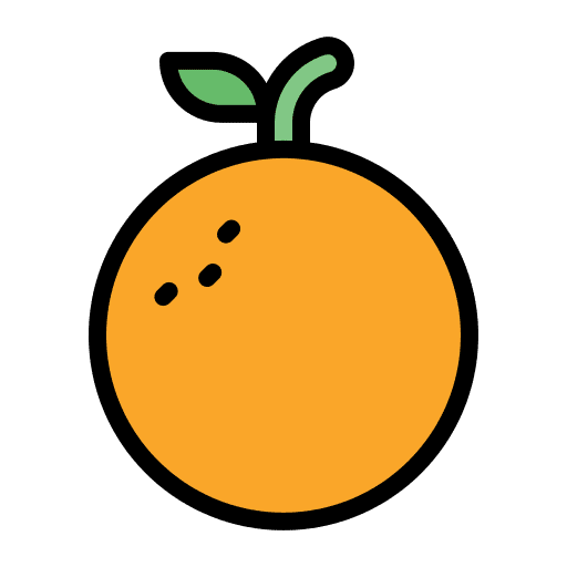 Orange diet orange fruit icon