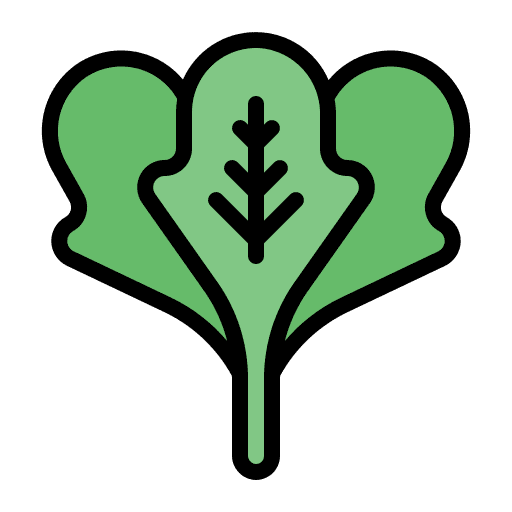 Spinach food and restaurant vegetable healthy food icon Spinach food and restaurant vegetable healthy food icon