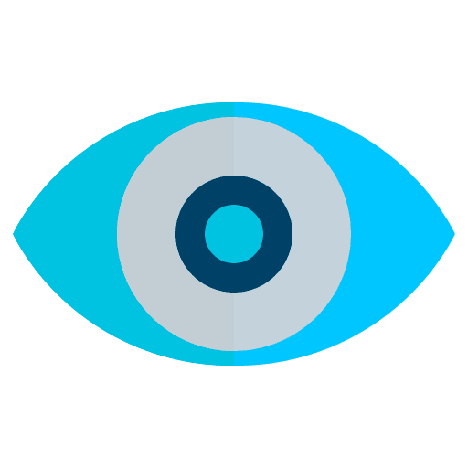 Eye eyeball eye ophtalmology icon