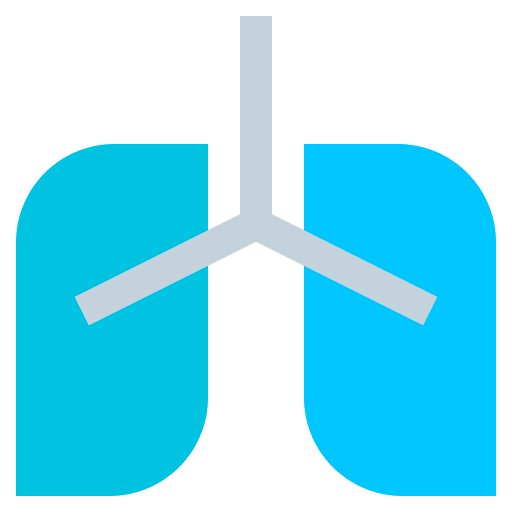 Lung anatomy breathing medical icon