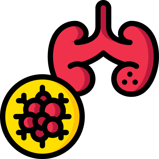 Kidneys kidneys cancer anatomy icon