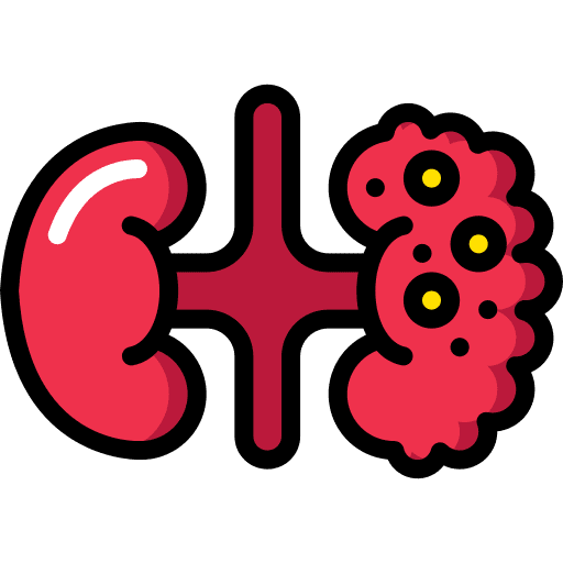 Kidneys tumor anatomy kidneys icon
