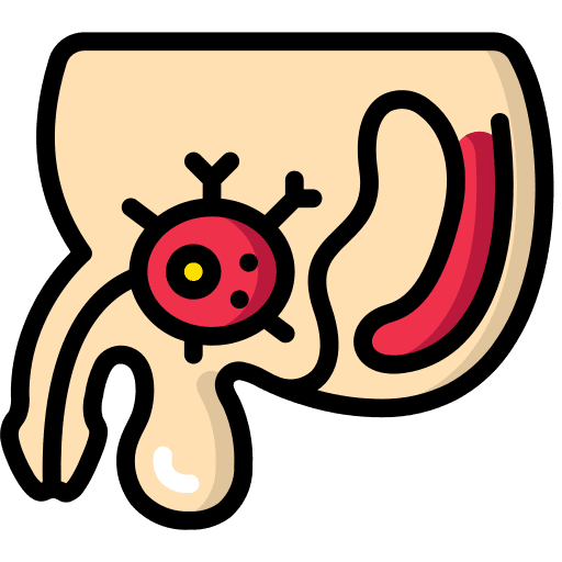 Prostate health healthcare and medical illness icon
