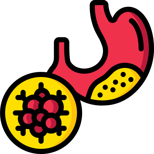 Stomach stomach healthcare and medical illness icon