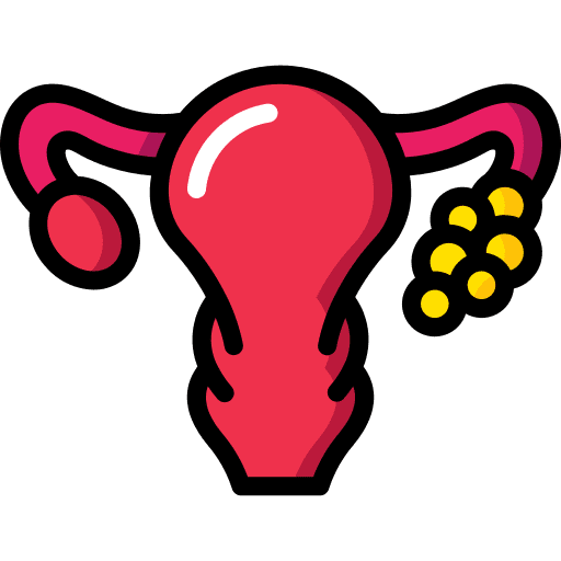 Uterus health uterus body organ icon