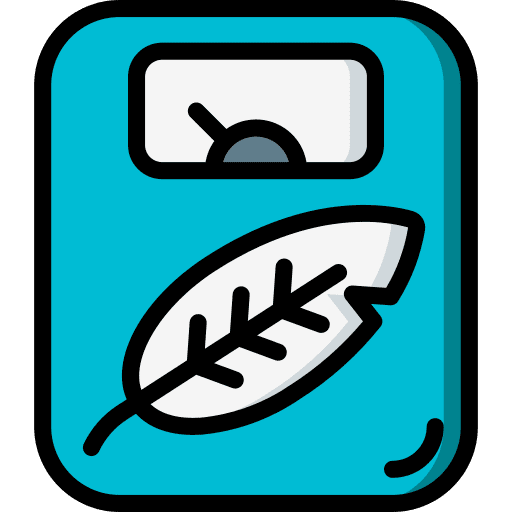 Weight loss weight loss weight scale healthcare icon