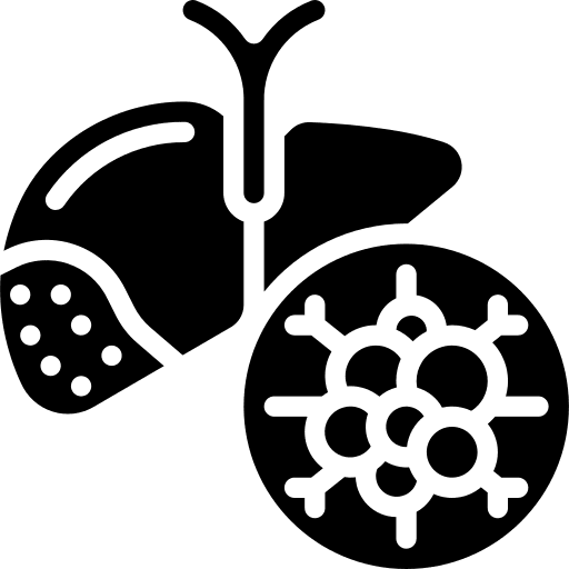 Liver liver health anatomy icon