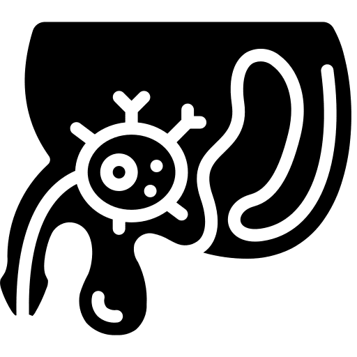 Prostate prostate body organ anatomy icon