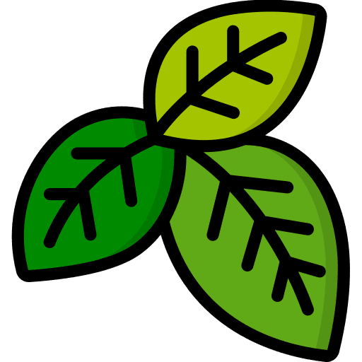Basil herbs vegan food and restaurant icon
