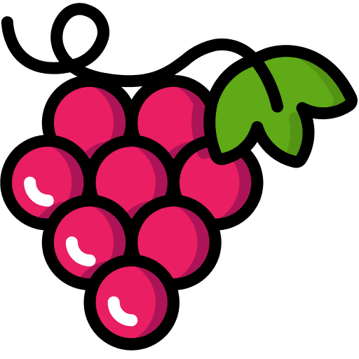 Grapes grape fruit organic icon