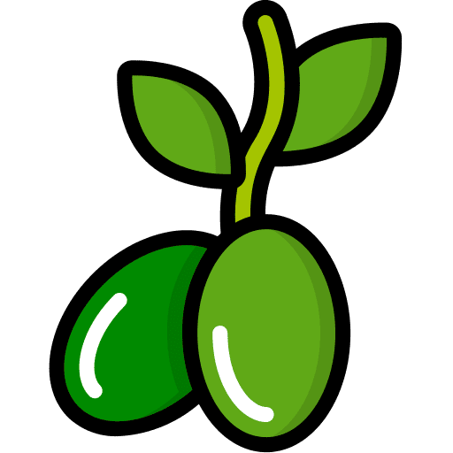 Olives olive tree leaf olive icon