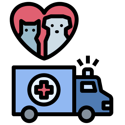 Rescue cat dog transportation icon