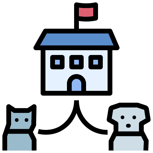Training cat training animals icon Training cat training animals icon