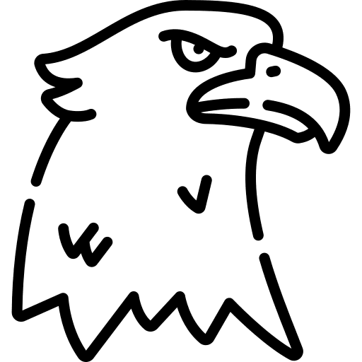 Eagle flight zoology bird icon