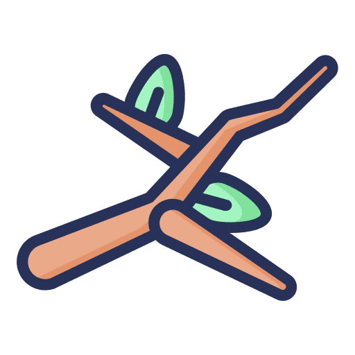 Branch spring branch leaves icon