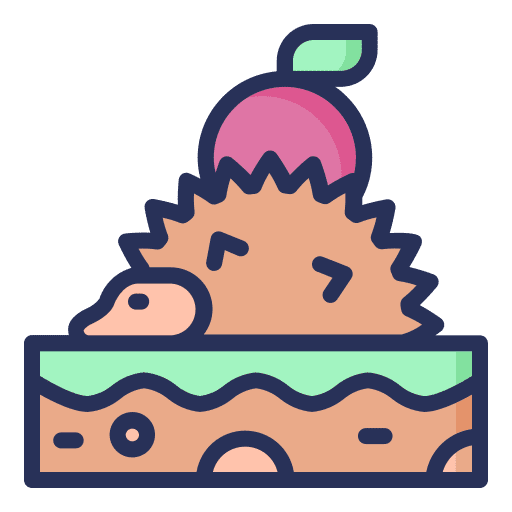 Hedgehog zoology hedgehog animal kingdom icon Hedgehog zoology hedgehog animal kingdom icon