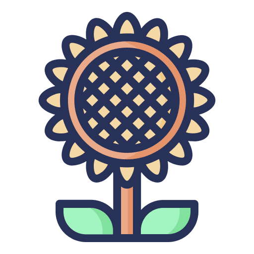 Sunflower bloom sunflower spring icon